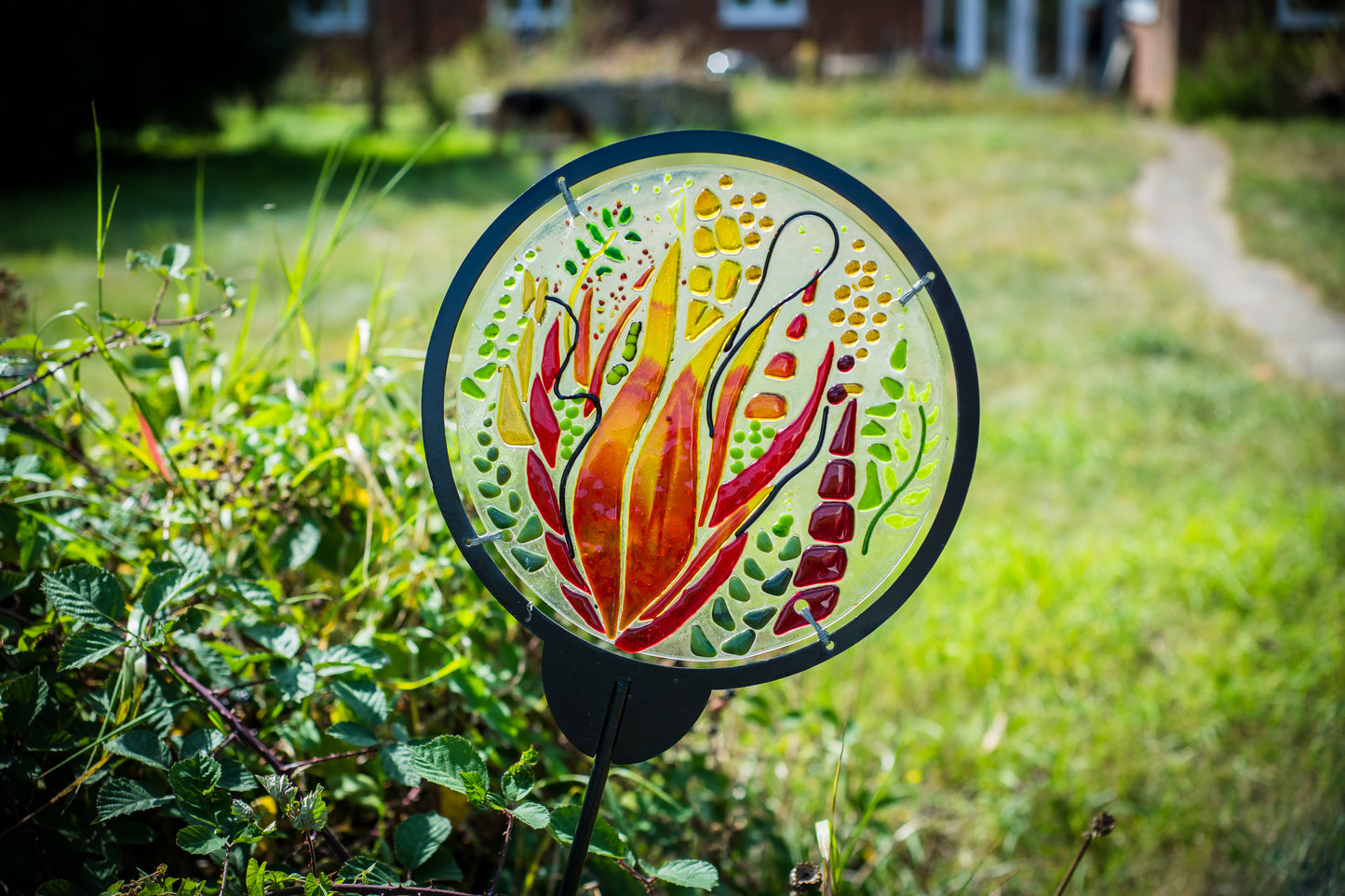 WEEKLY TERM TIME CLASSES - Thursdays - Autumn Term 2025