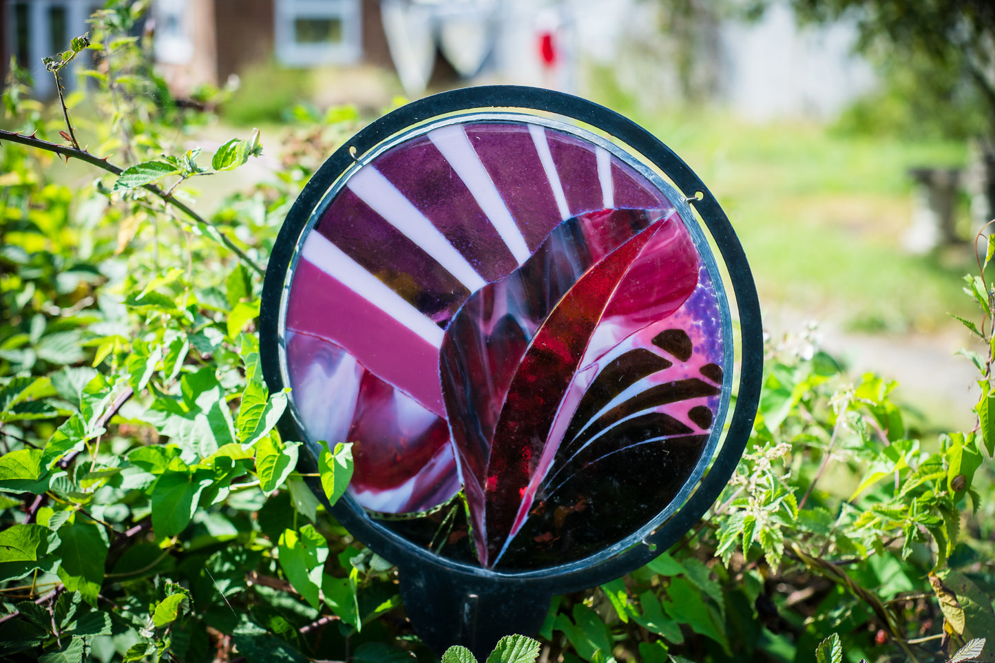 WEEKLY TERM TIME CLASSES - Thursdays - Autumn Term 2025