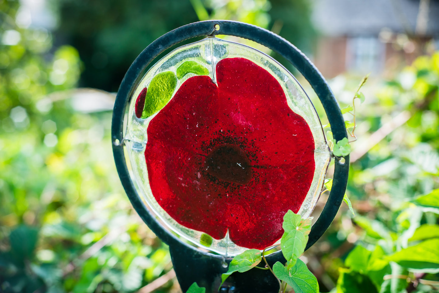 WEEKLY TERM TIME CLASSES - Thursdays - Autumn Term 2025