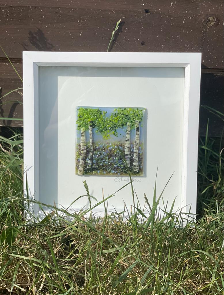 Small Springtime woodlands picture 1