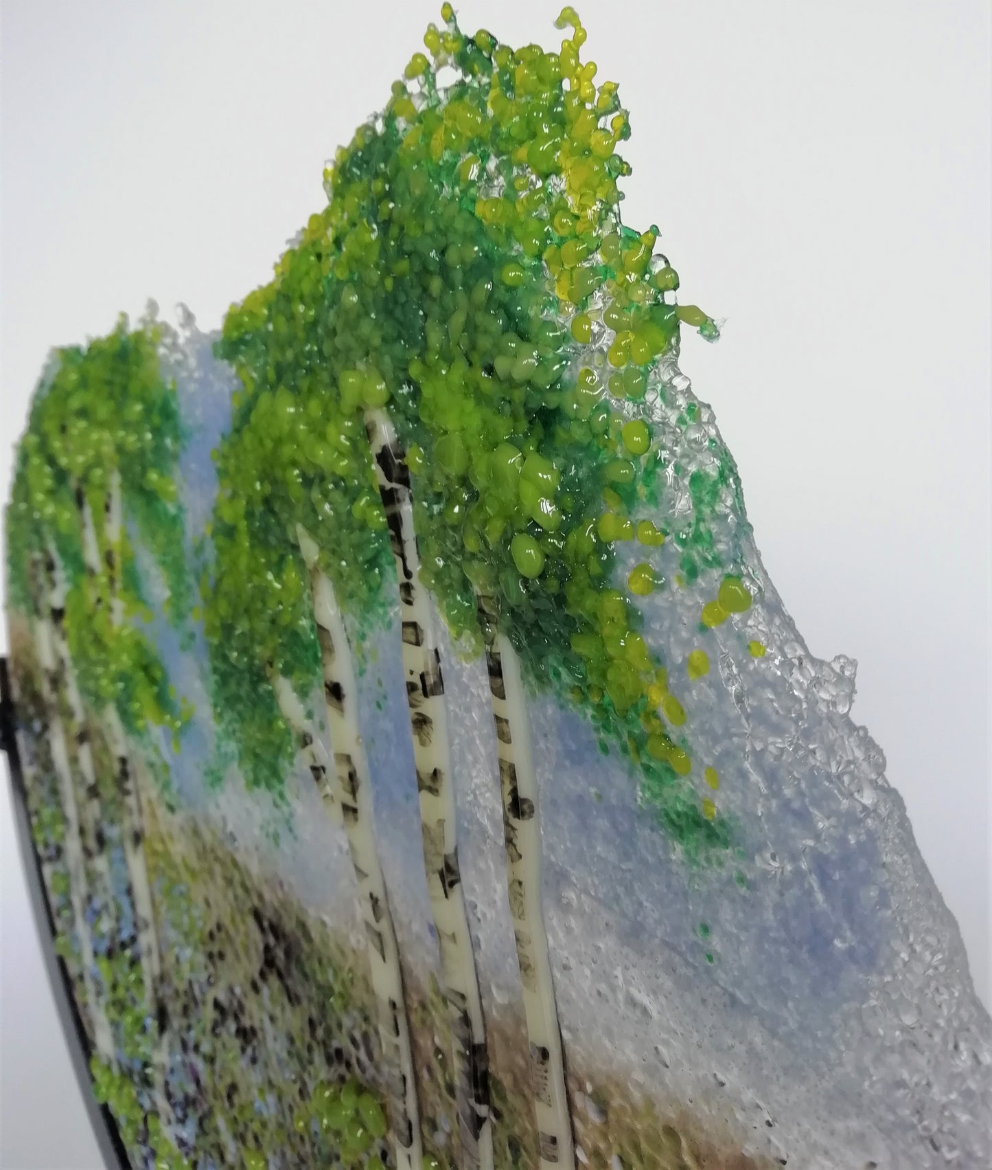 Silver birch tree roundel large 3
