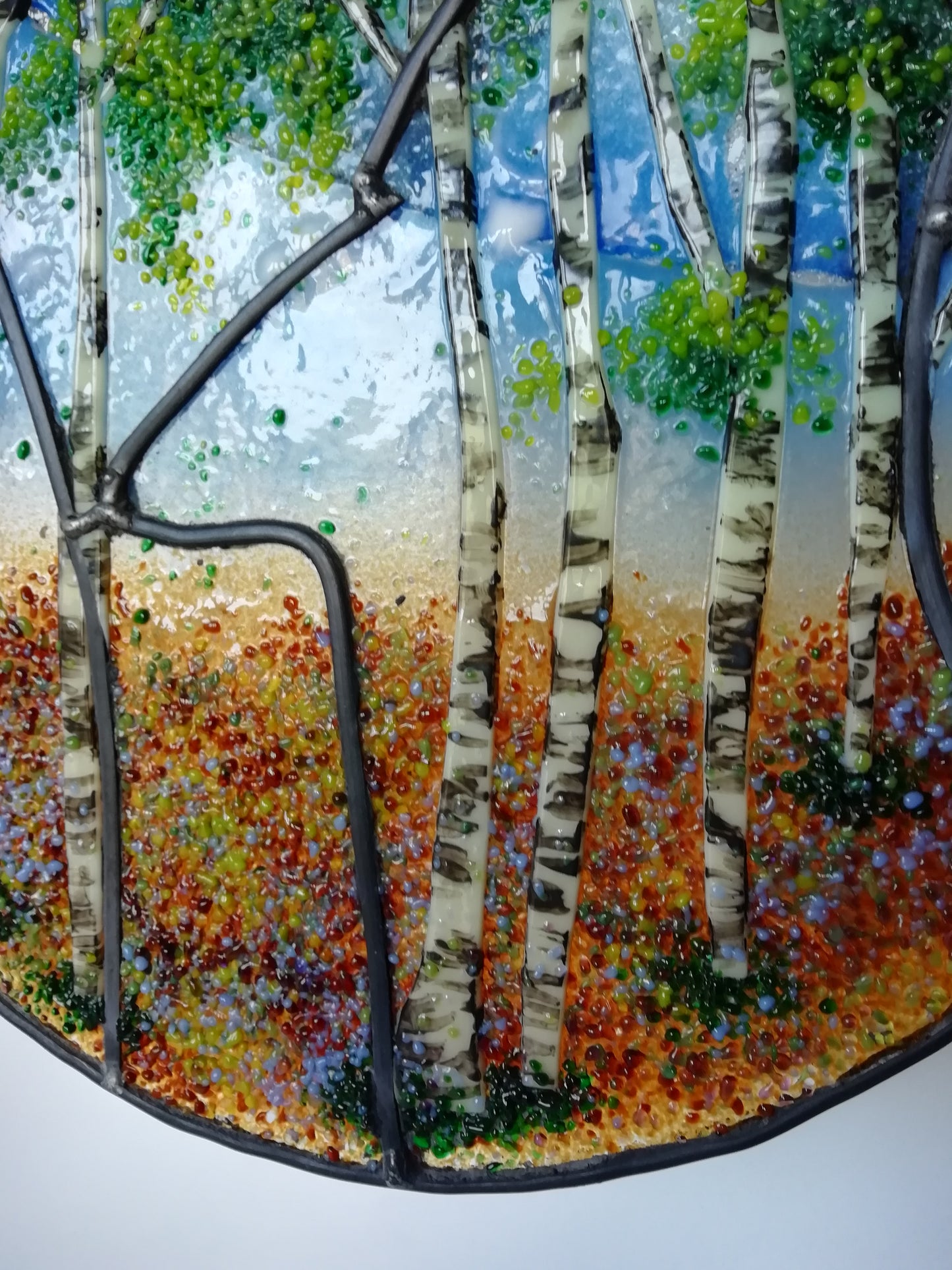 Unique silver birch roundel