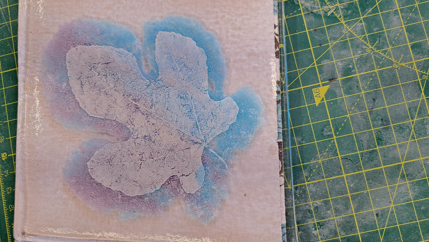 FUSED GLASS SUMMER SCHOOL - 3rd -7th August 2026
